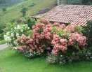 Área dos celibatários