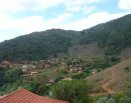 Área dos celibatários