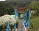Área dos celibatários