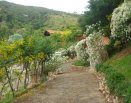 Área dos celibatários