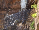 Retiro de Outubro 