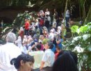 Toca de Assis