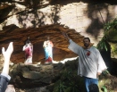 Retiro de Maio 