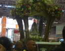 CMR na JMJ Rio 2013