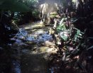 Gruta Nossa Senhora de Lourdes