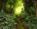 Gruta Nossa Senhora de Lourdes