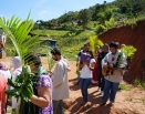 Domingo de Ramos