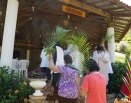 Domingo de Ramos