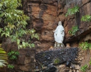 Retiro de Maio - Nossa Senhora Estrela da Manhã